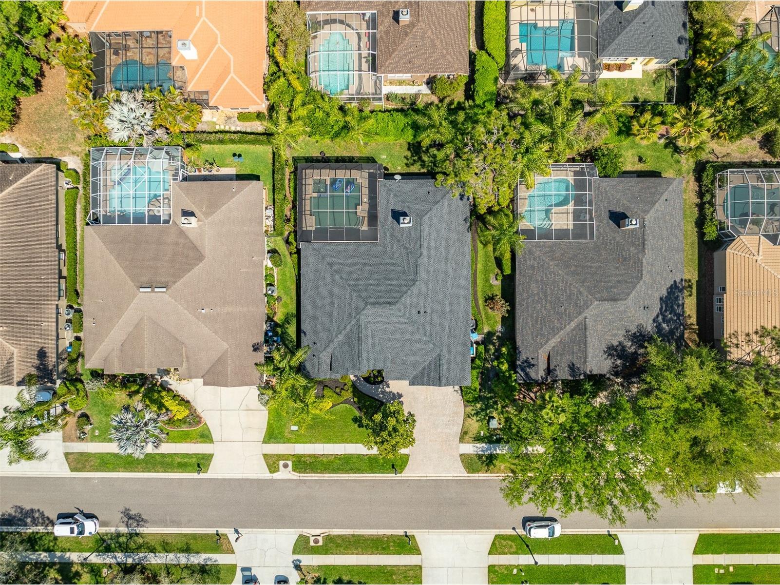 2867 Deer Run Tarpon Springs FL 34688 TB8491964 image64