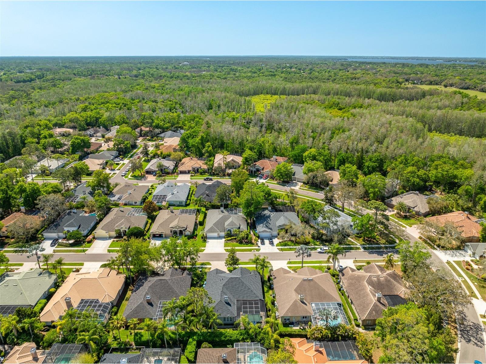 2867 Deer Run Tarpon Springs FL 34688 TB8491964 image65