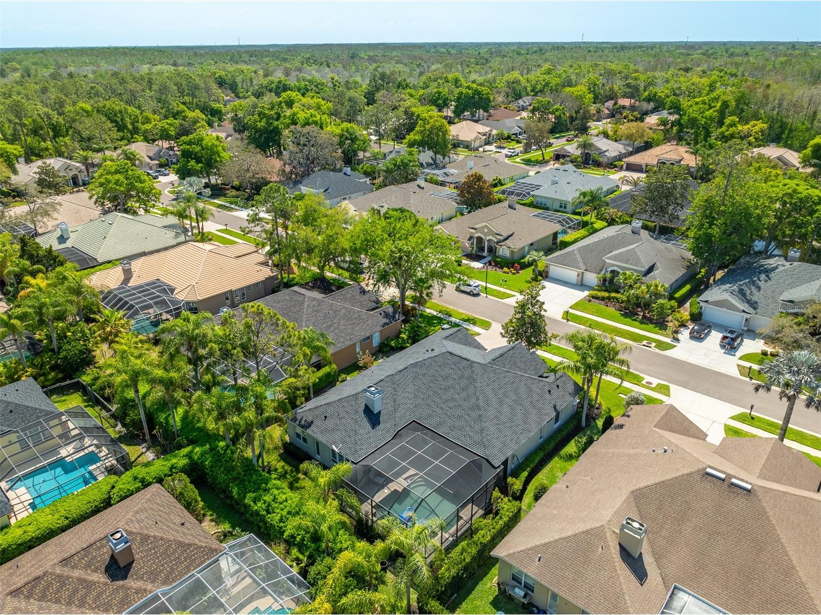 2867 Deer Run Tarpon Springs FL 34688 TB8491964 image67