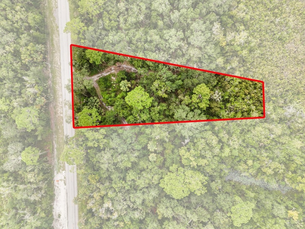 2867 Old New York Avenue Deland FL 32720 V4942703 image3