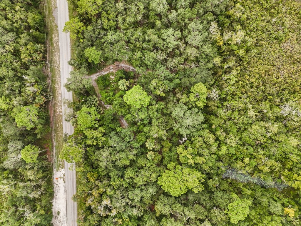 2867 Old New York Avenue Deland FL 32720 V4942703 image4