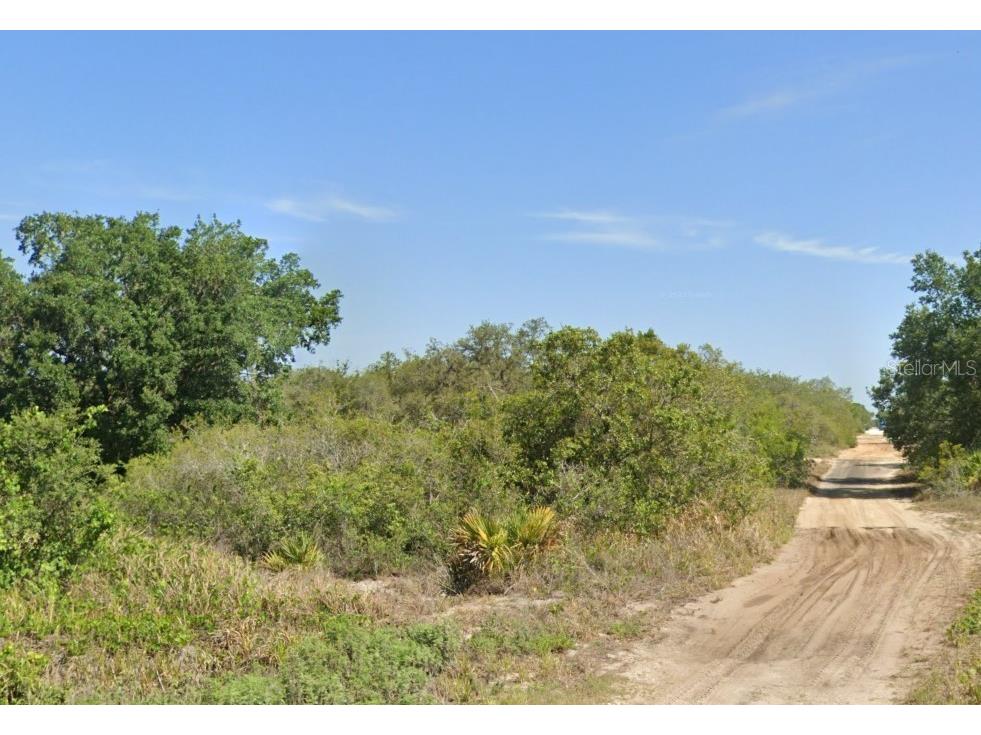 2869 W Haviland Road Avon Park FL 33825 O6294750 image1