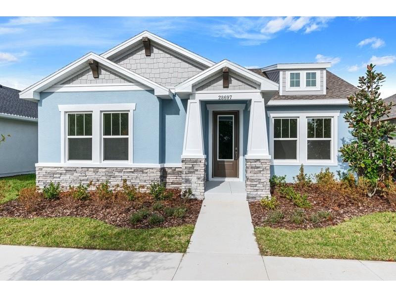 28697 Hillcrest Valley Wesley Chapel FL 33543 T3456634 image1