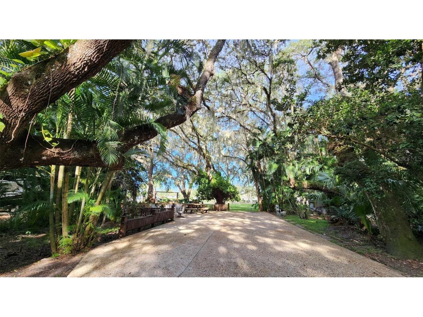 287 Bear Trail Lake Wales FL 33898 U8217555 image1