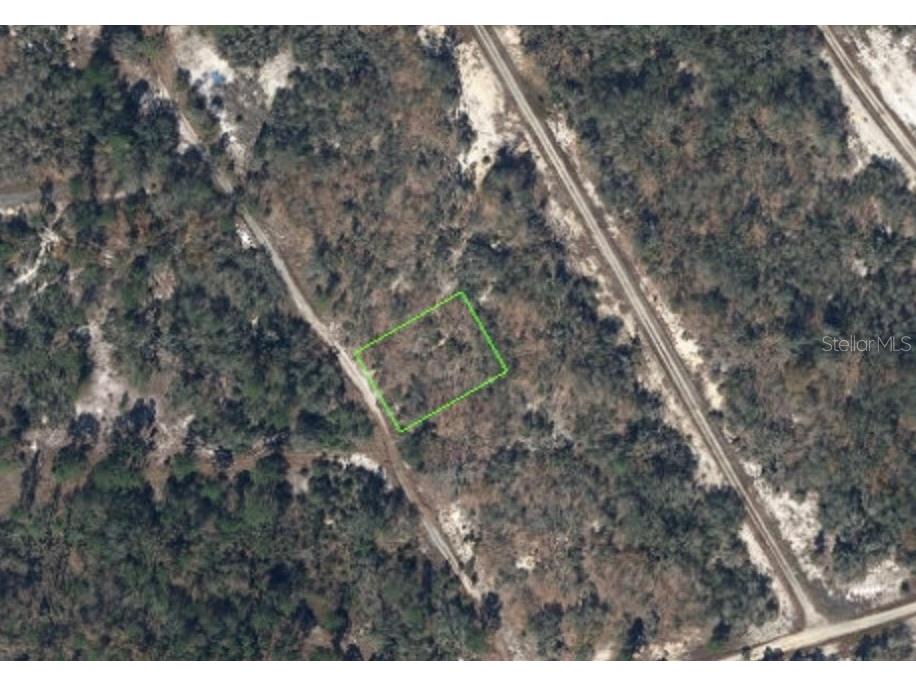 287 Blue Horizon Drive Lake Placid FL 33852 OM700978 image1