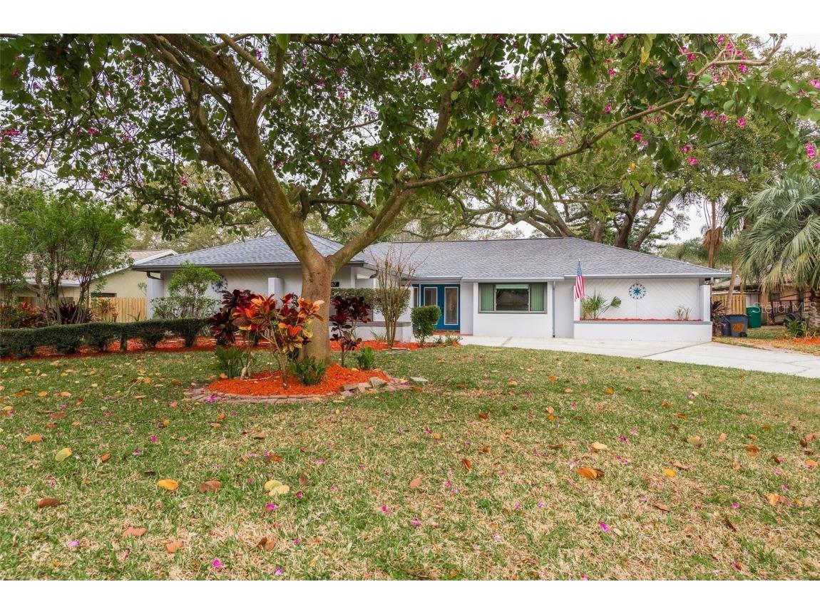 287 Lakeview Terrace Palm Harbor FL 34683 U8226362 image1