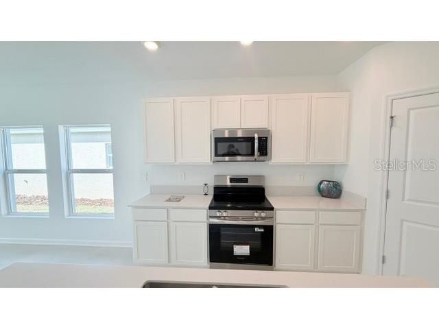 287 Puma Loop Groveland FL 34736 O6406725 image4