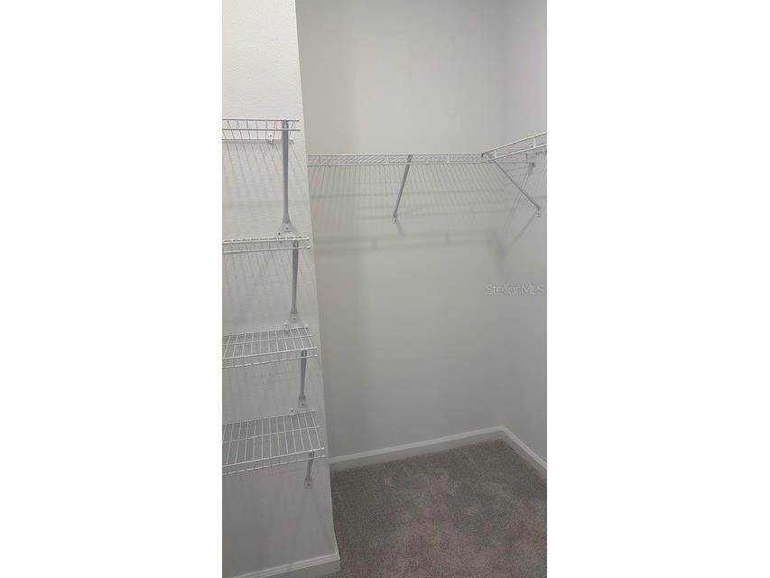 287 Puma Loop Groveland FL 34736 O6406725 image7