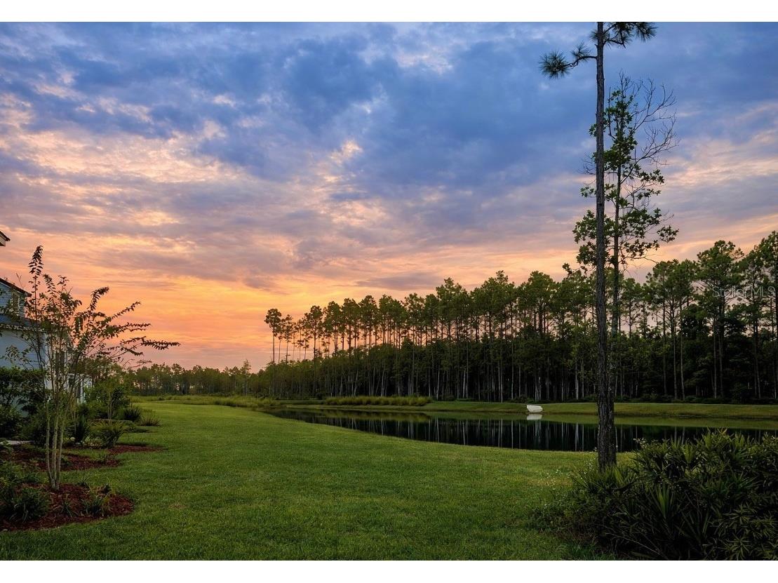 287 Redbud Road Palm Coast FL 32137 V4946282 image6