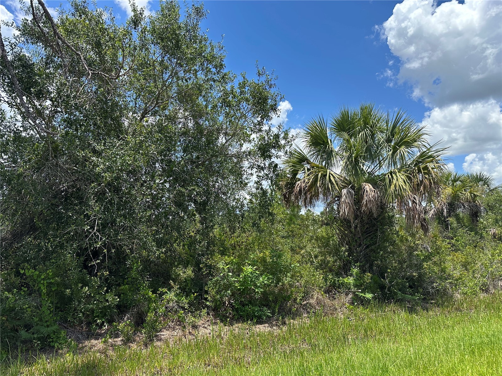 287 Redington Avenue Port Charlotte FL 33953 TB8474183 image13