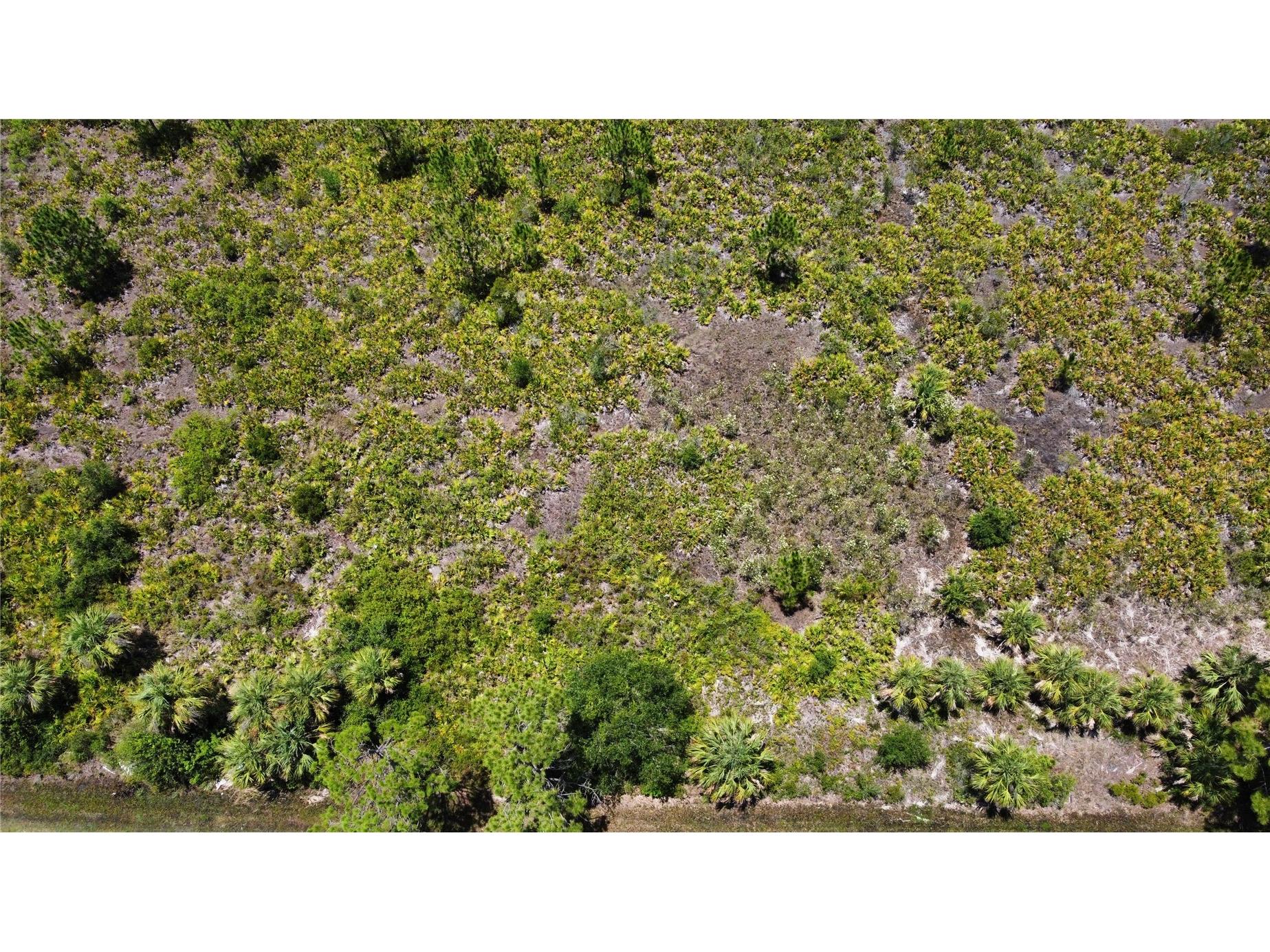 287 Redington Avenue Port Charlotte FL 33953 TB8474183 image3