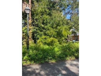 287 Selden Avenue Ormond Beach FL 32174 FC313515 image1