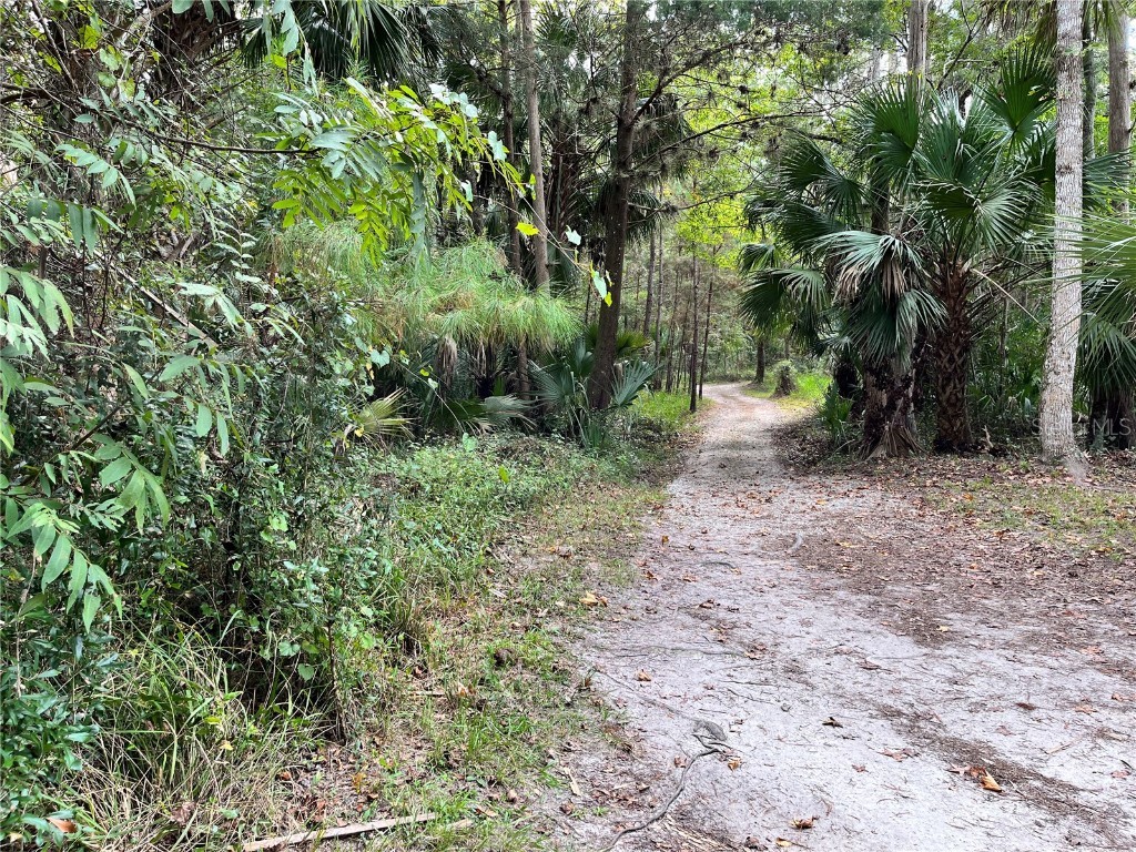 2870 NE 103rd Avenue Silver Springs FL 34488 - OCKLAWAHA O6343290 image35