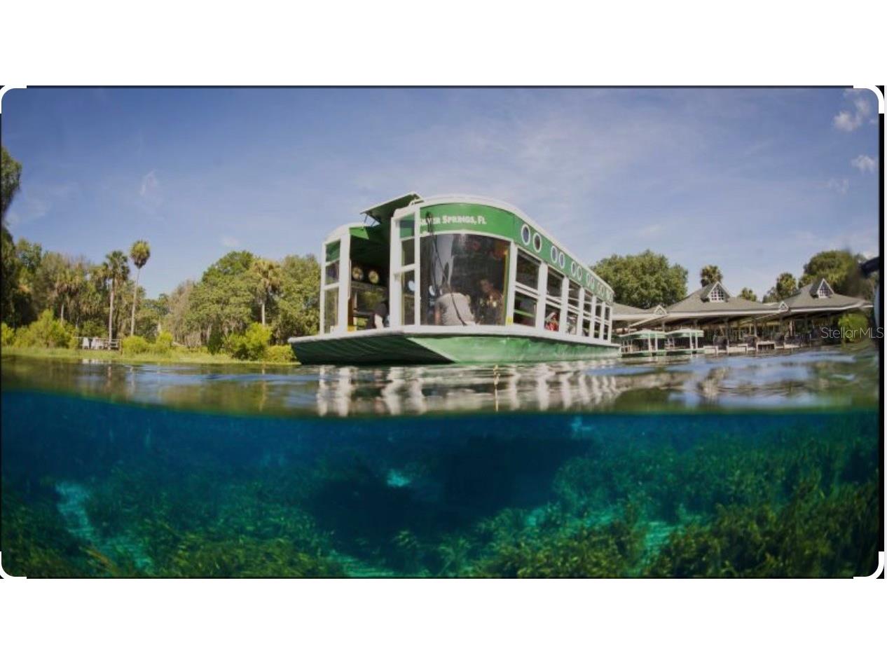 2870 NE 103rd Avenue Silver Springs FL 34488 - OCKLAWAHA O6343290 image46