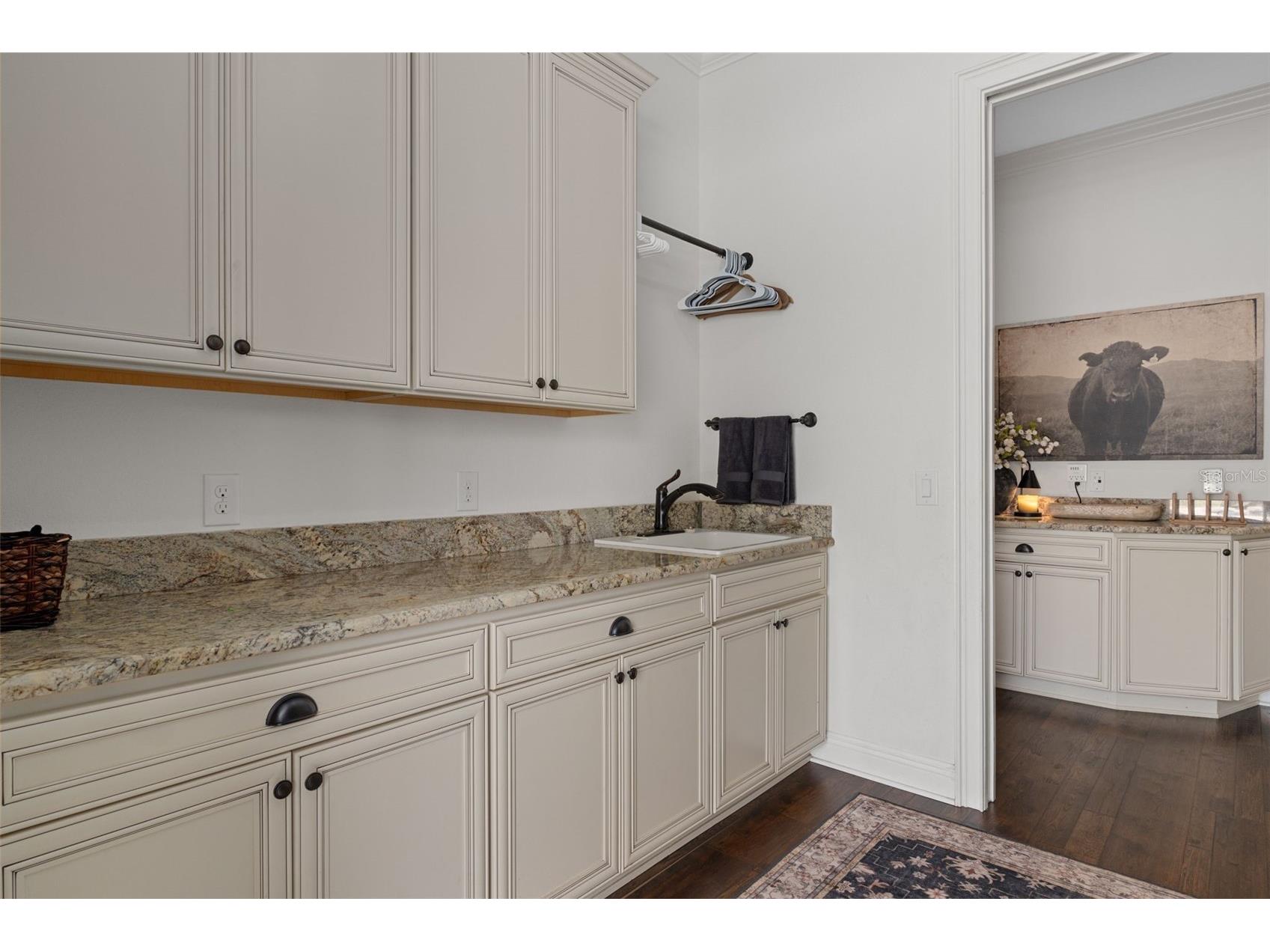 2870 NW 87th Avenue Wildwood FL 34785 OM721309 image66