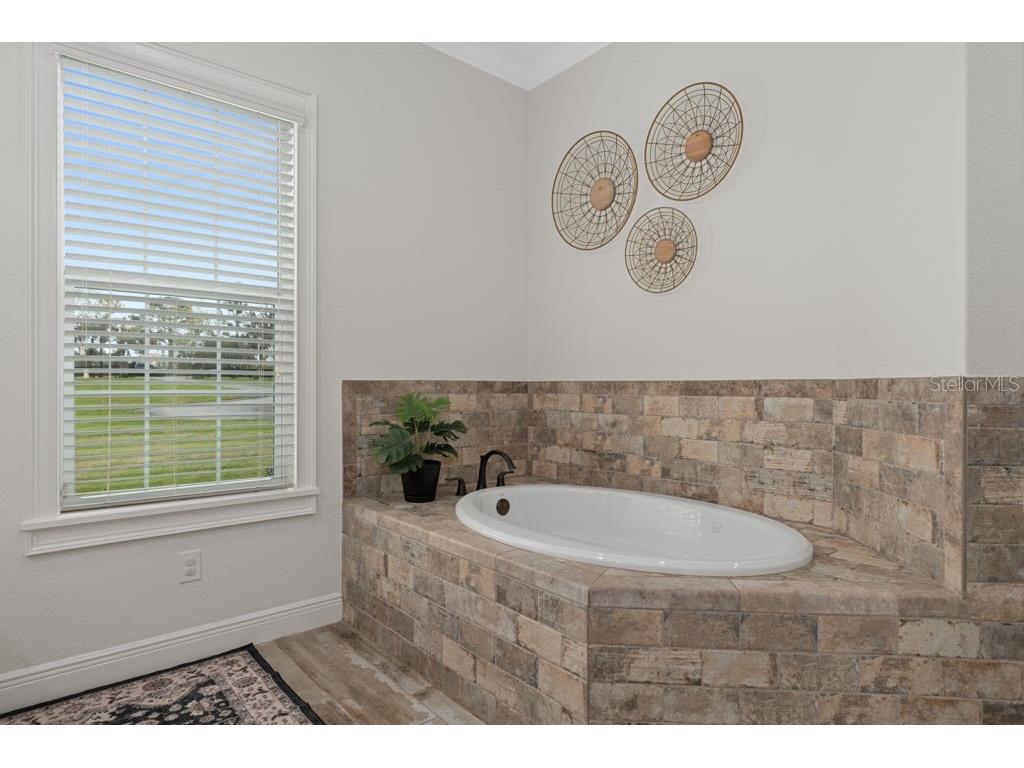 2870 NW 87th Avenue Wildwood FL 34785 OM721309 image92