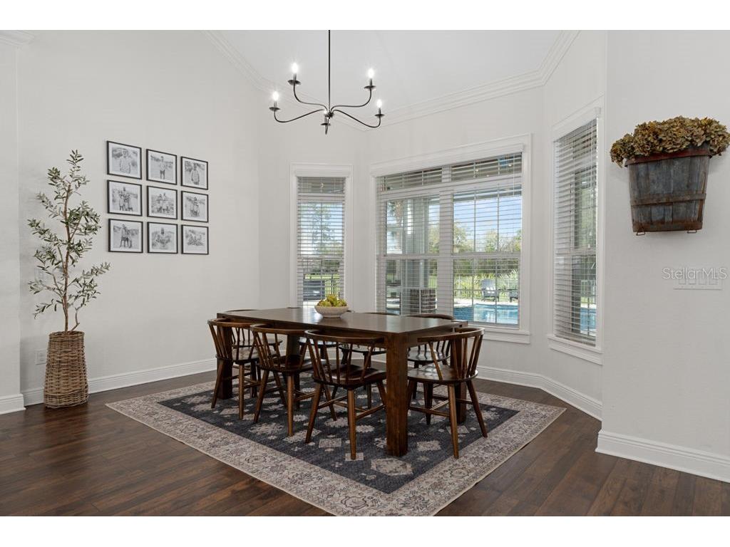 2870 NW 87th Avenue Wildwood FL 34785 OM721309 image94