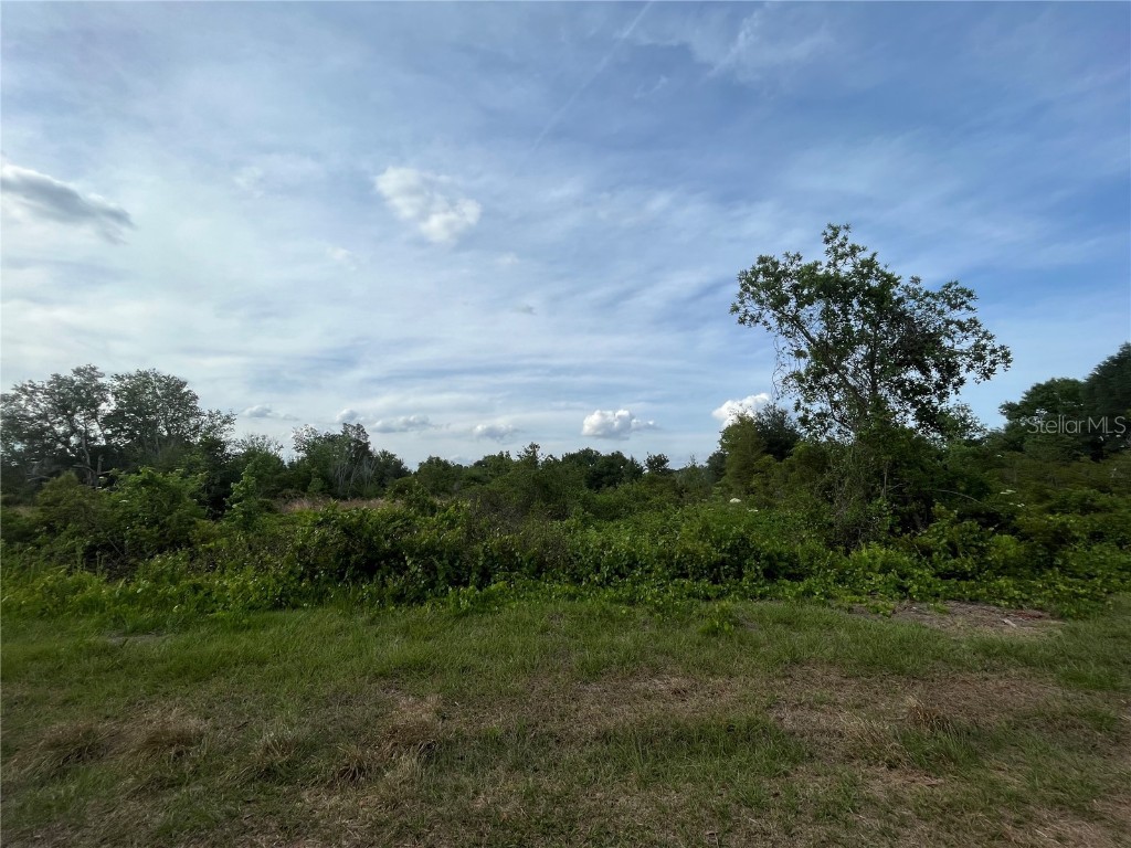 2870 SW Anderson Road Avon Park FL 33825 OK222695 image1