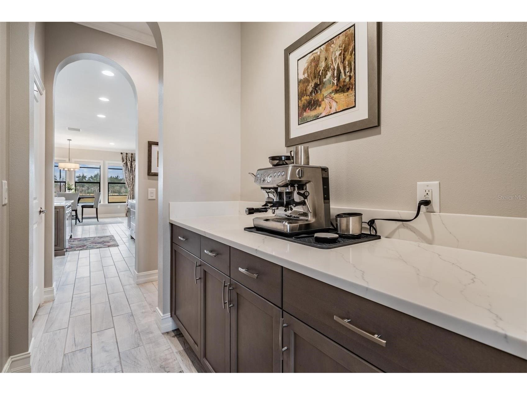 28700 Corbara Place Wesley Chapel FL 33543 TB8469571 image11