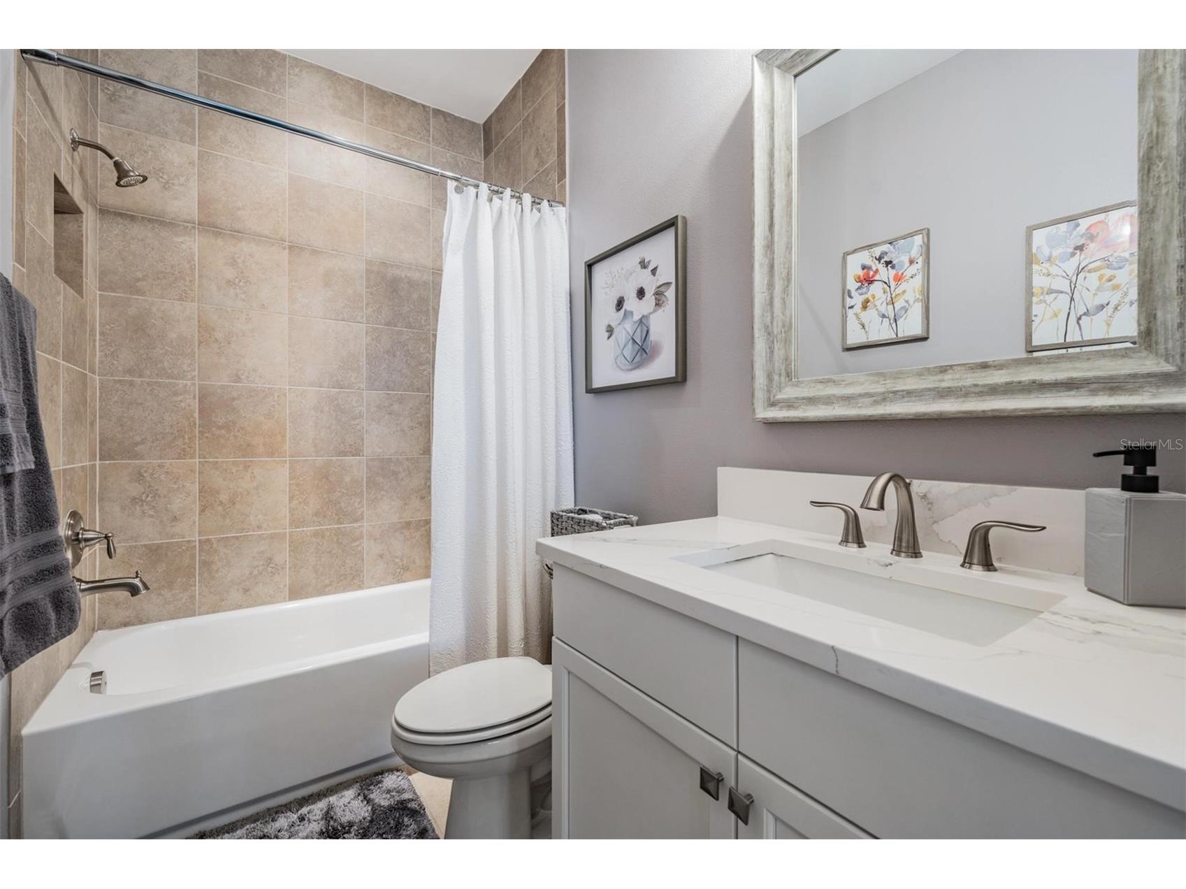 28700 Corbara Place Wesley Chapel FL 33543 TB8469571 image39