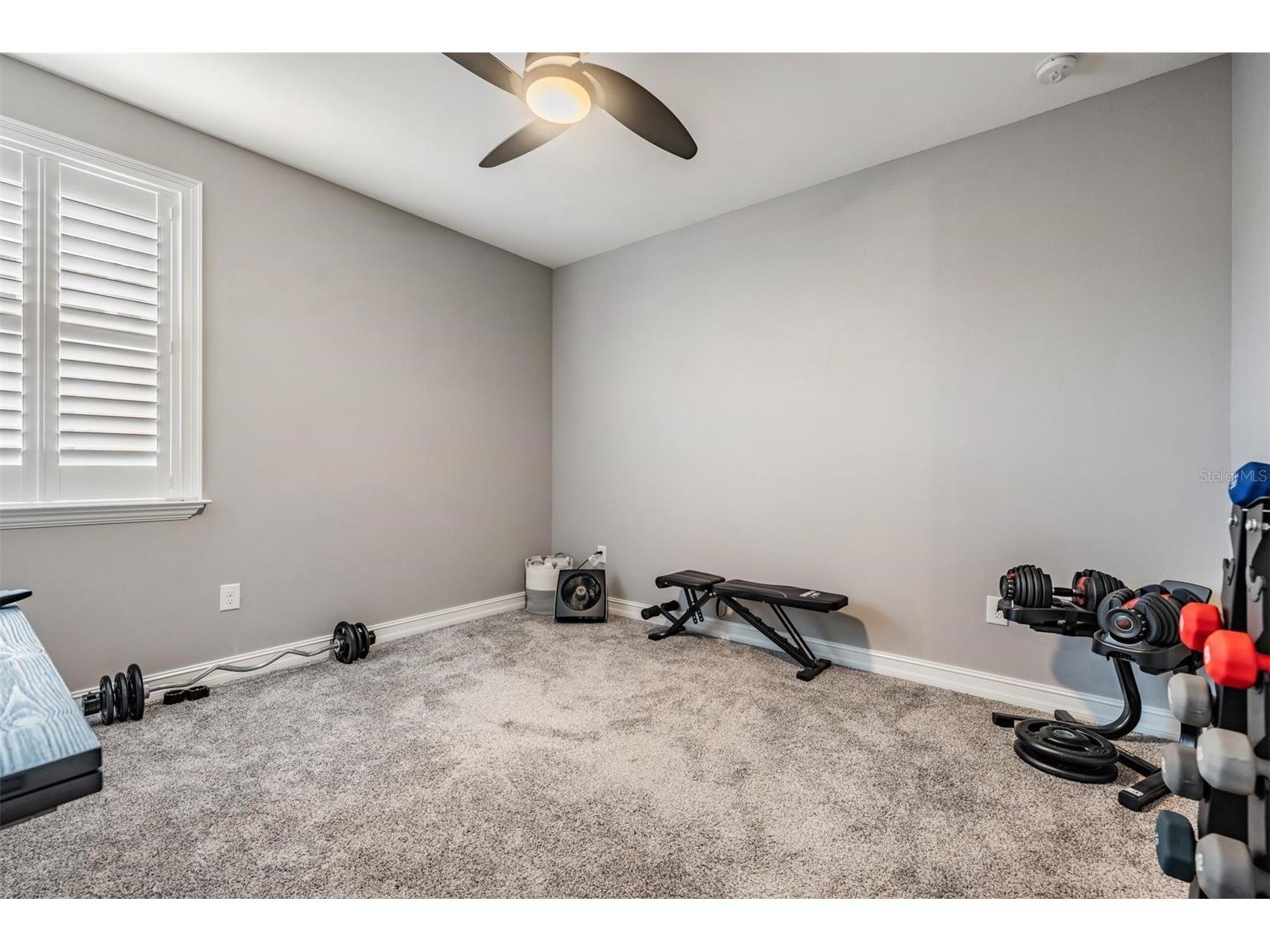 28700 Corbara Place Wesley Chapel FL 33543 TB8469571 image40