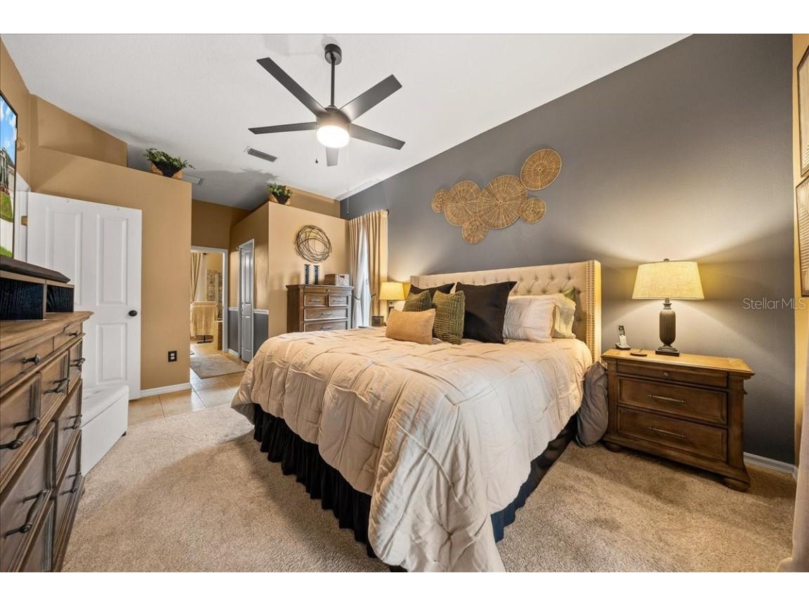 28702 Crooked Stick Court Wesley Chapel FL 33543 OM715696 image33