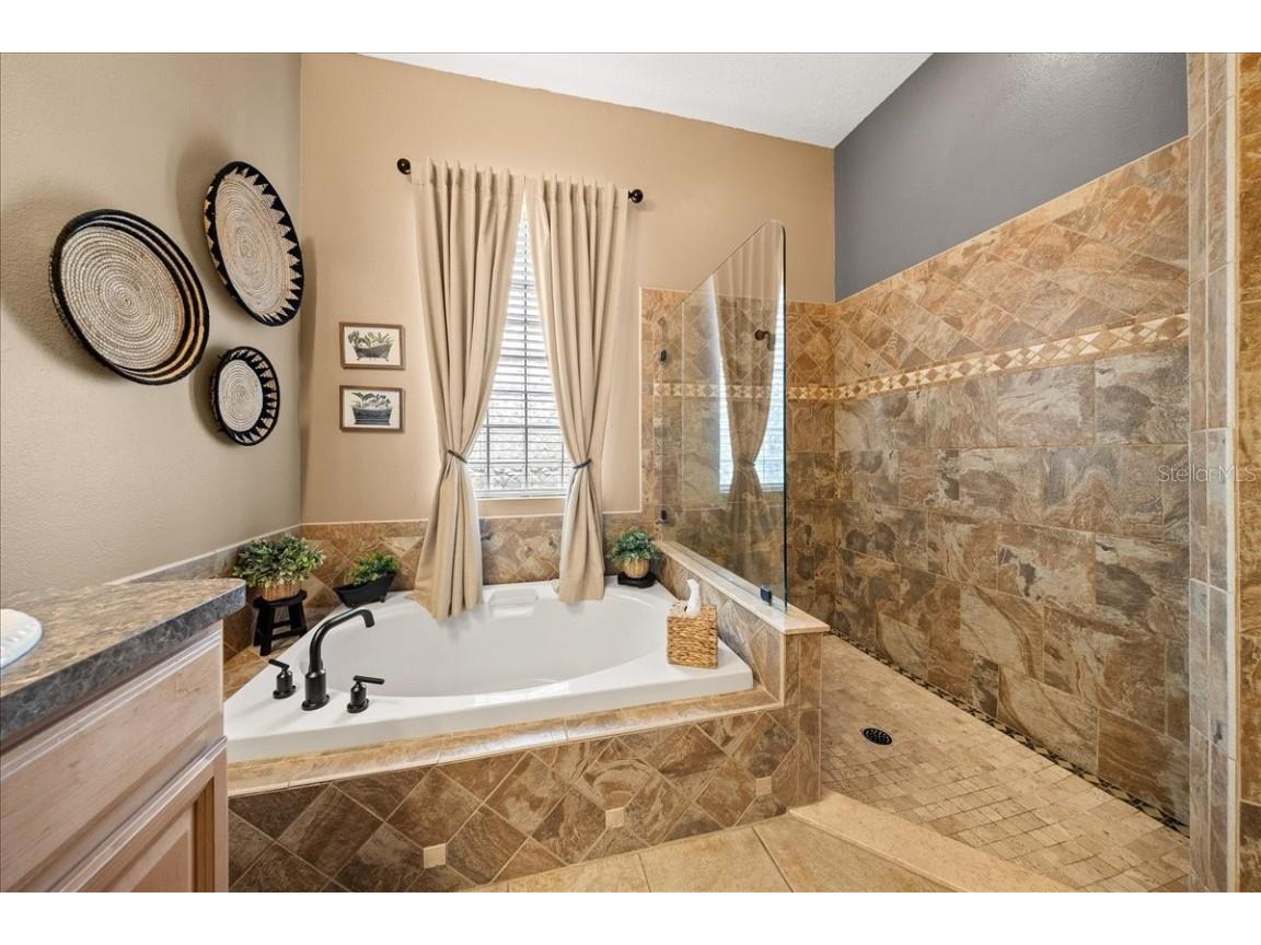 28702 Crooked Stick Court Wesley Chapel FL 33543 OM715696 image37