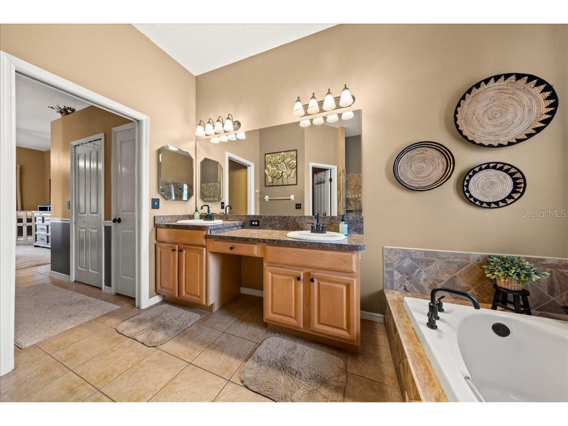 28702 Crooked Stick Court Wesley Chapel FL 33543 OM715696 image38