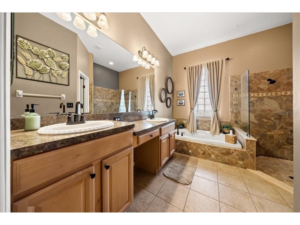 28702 Crooked Stick Court Wesley Chapel FL 33543 OM715696 image39