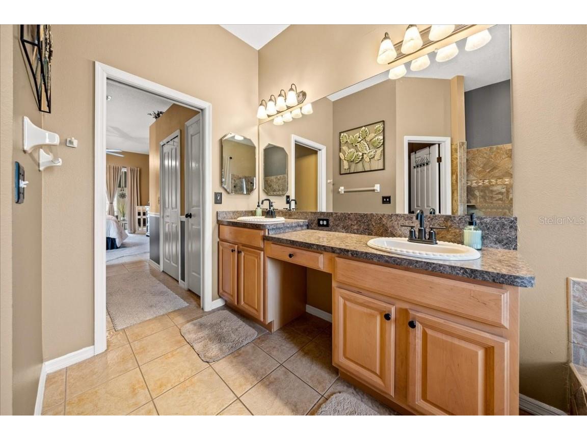 28702 Crooked Stick Court Wesley Chapel FL 33543 OM715696 image40