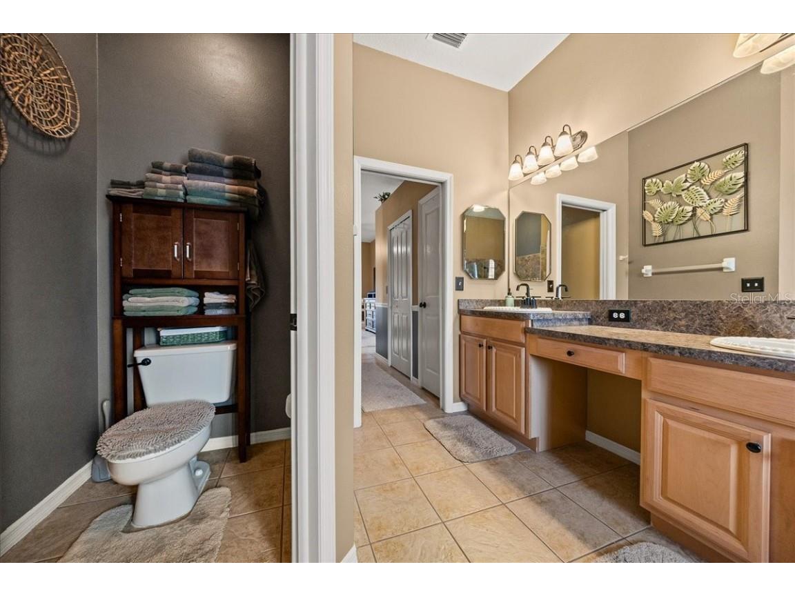 28702 Crooked Stick Court Wesley Chapel FL 33543 OM715696 image41