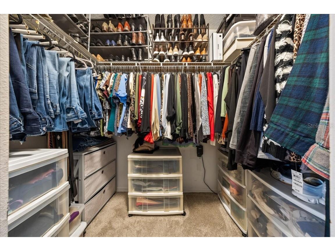 28702 Crooked Stick Court Wesley Chapel FL 33543 OM715696 image44