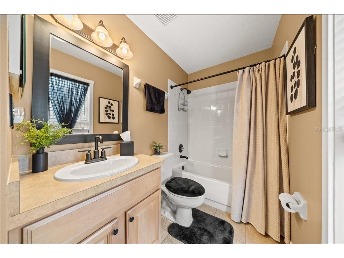 28702 Crooked Stick Court Wesley Chapel FL 33543 OM715696 image46