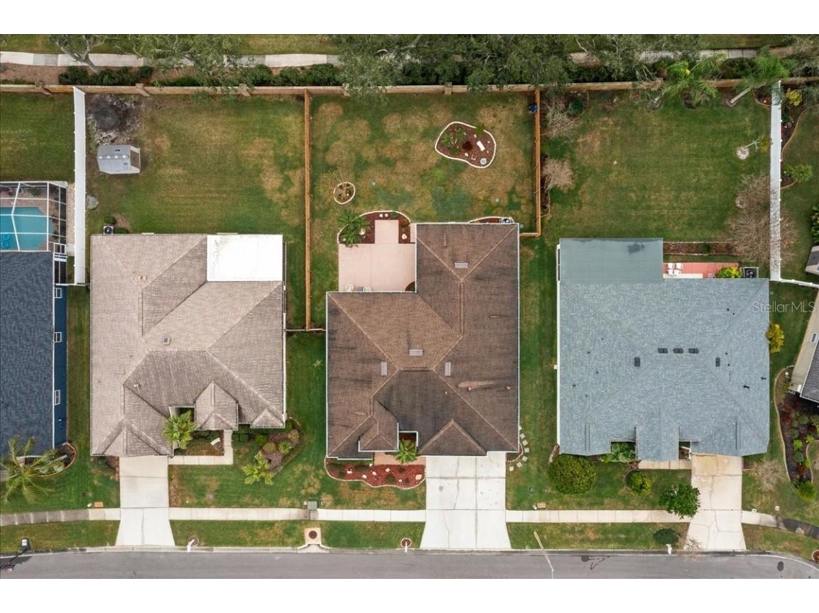 28702 Crooked Stick Court Wesley Chapel FL 33543 OM715696 image5