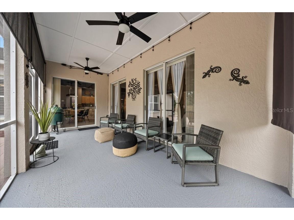 28702 Crooked Stick Court Wesley Chapel FL 33543 OM715696 image54