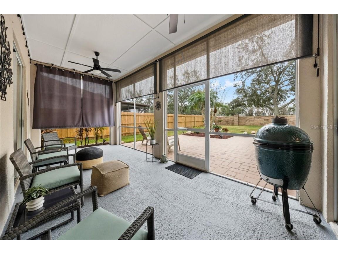 28702 Crooked Stick Court Wesley Chapel FL 33543 OM715696 image55