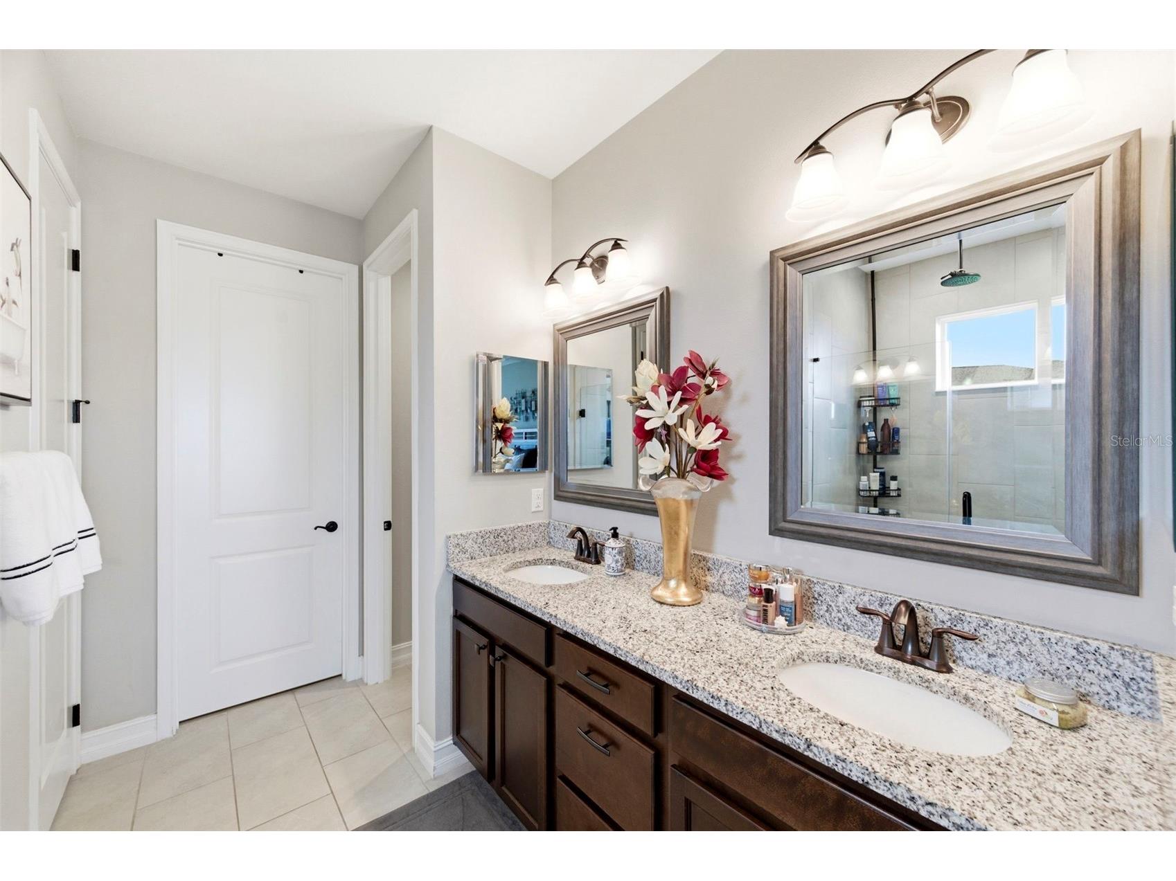28707 Revaro Lane Wesley Chapel FL 33543 TB8496175 image25
