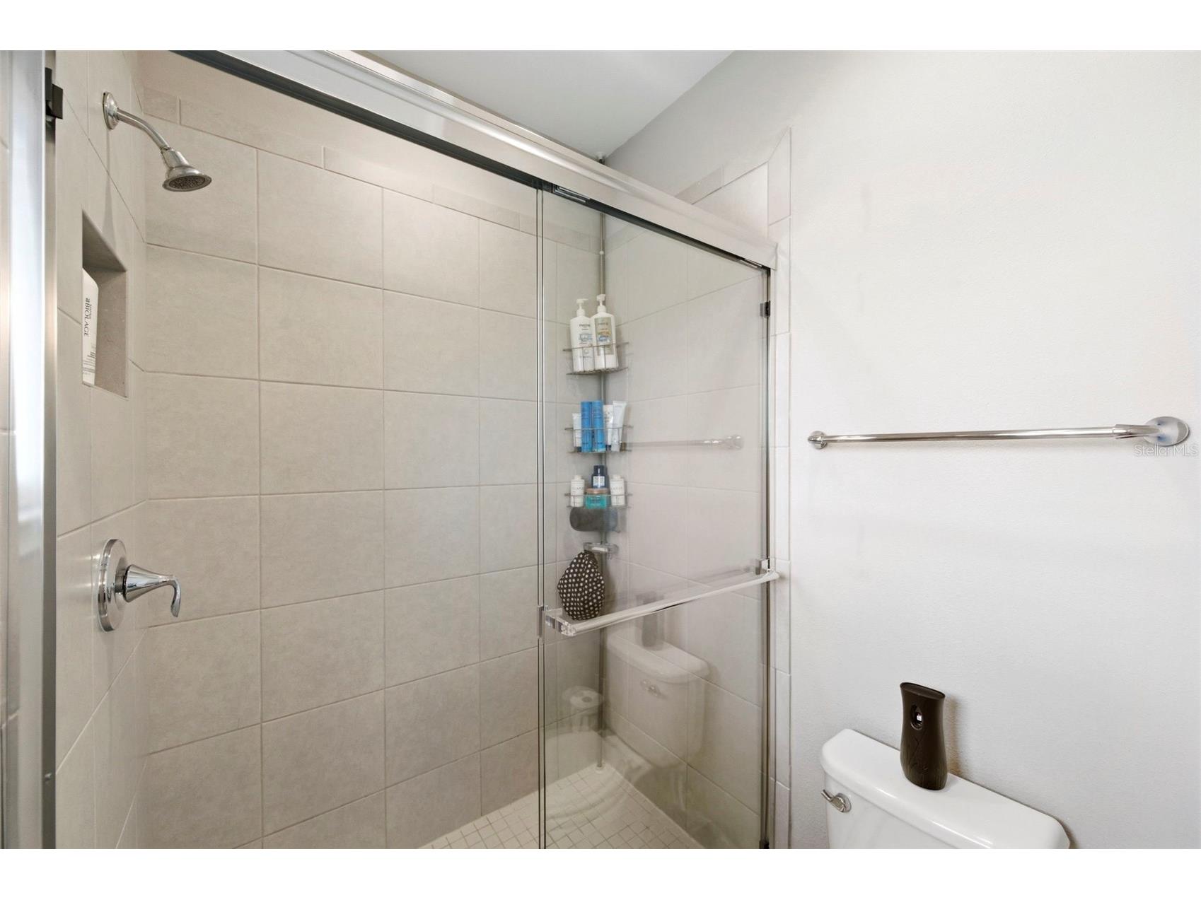 28707 Revaro Lane Wesley Chapel FL 33543 TB8496175 image39