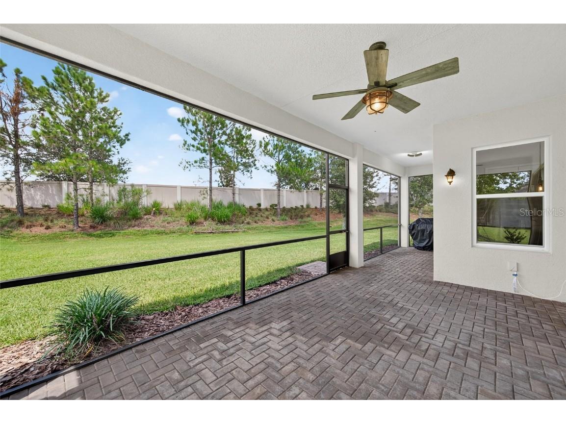 2871 Tarragona Way Wesley Chapel FL 33543 TB8452215 image38