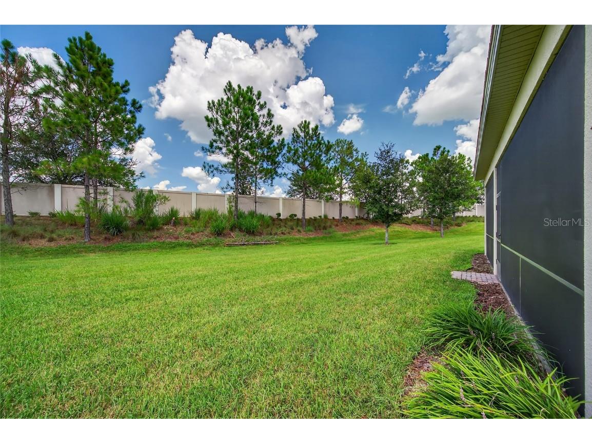 2871 Tarragona Way Wesley Chapel FL 33543 TB8452215 image39