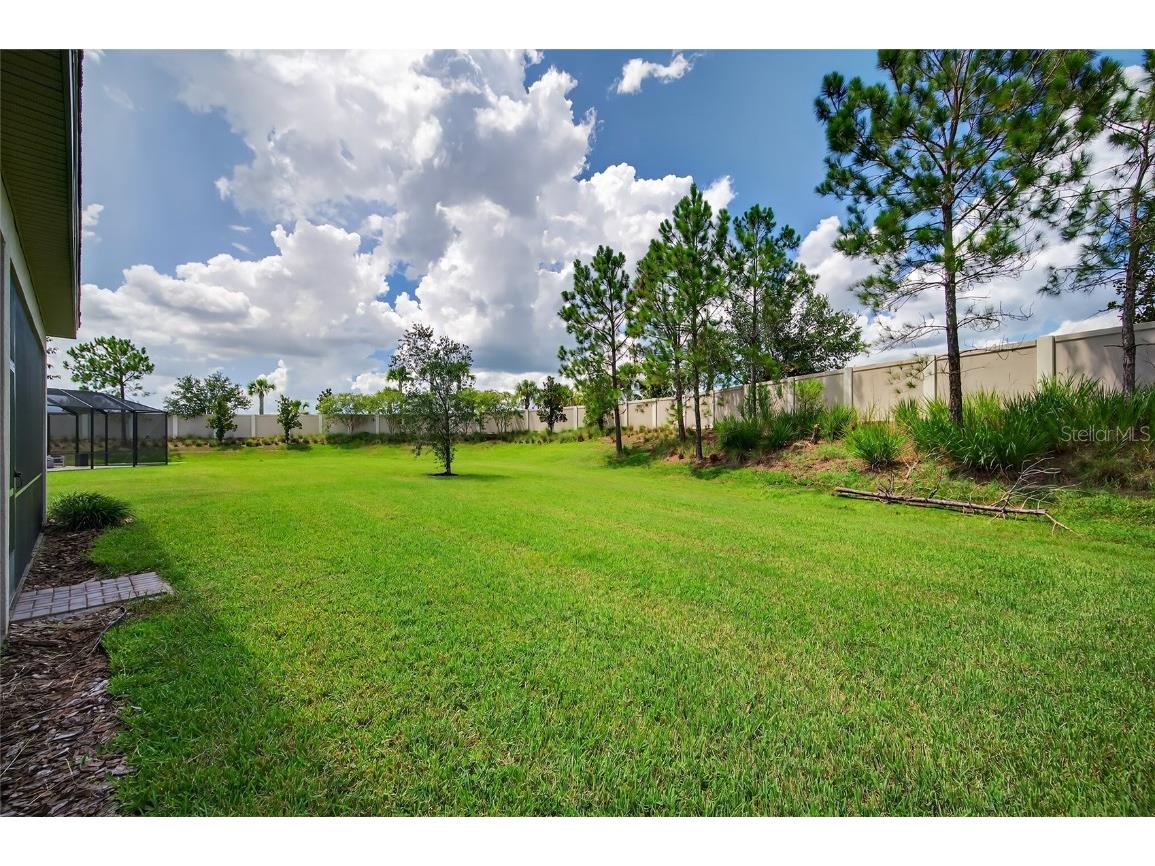 2871 Tarragona Way Wesley Chapel FL 33543 TB8452215 image40