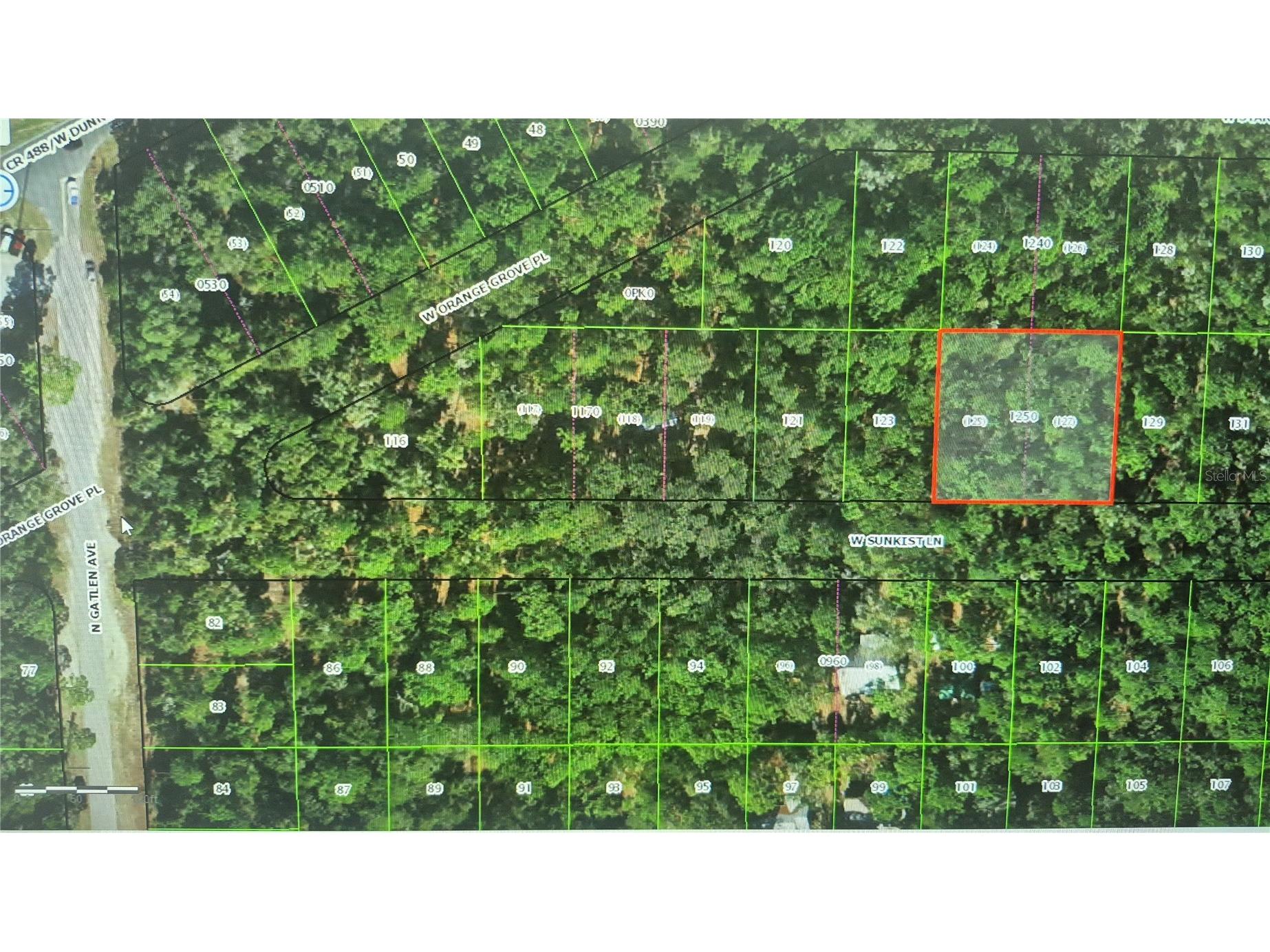 2871 W Sunkist Lane Dunnellon FL 34433 O6410735 image3