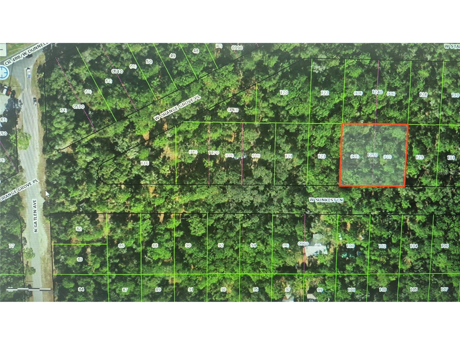2871 W Sunkist Lane Dunnellon FL 34433 O6410735 image4