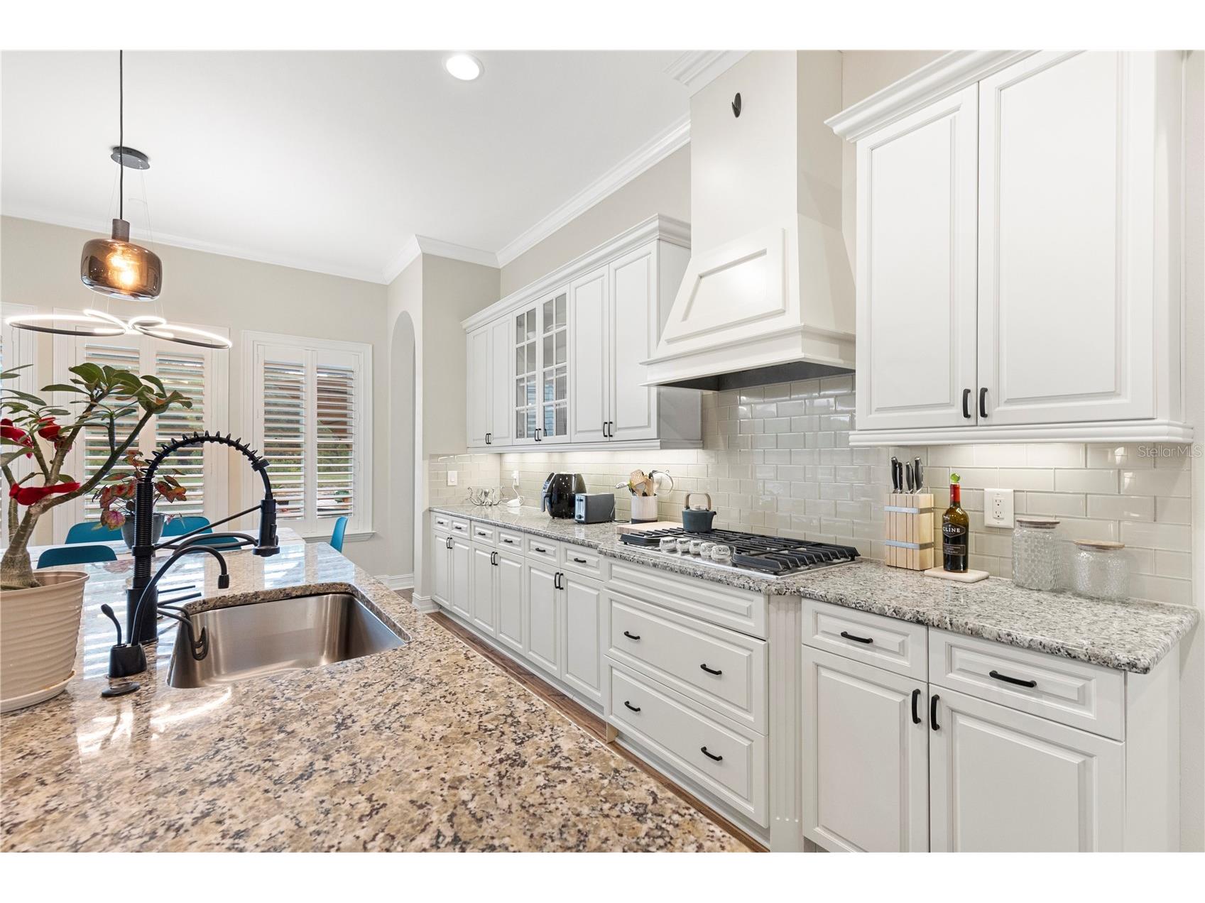 28715 Corbara Place Wesley Chapel FL 33543 TB8518475 image21