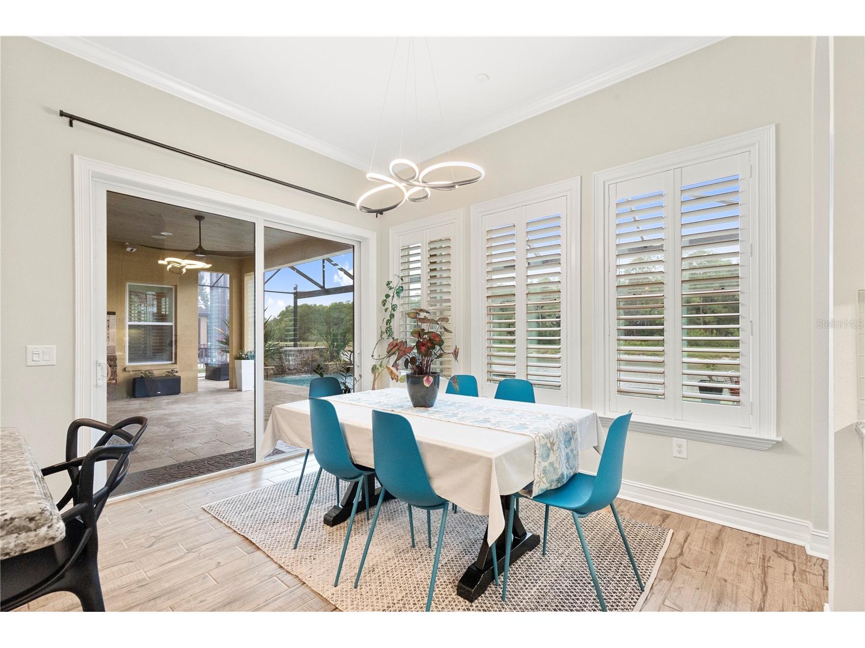 28715 Corbara Place Wesley Chapel FL 33543 TB8518475 image24
