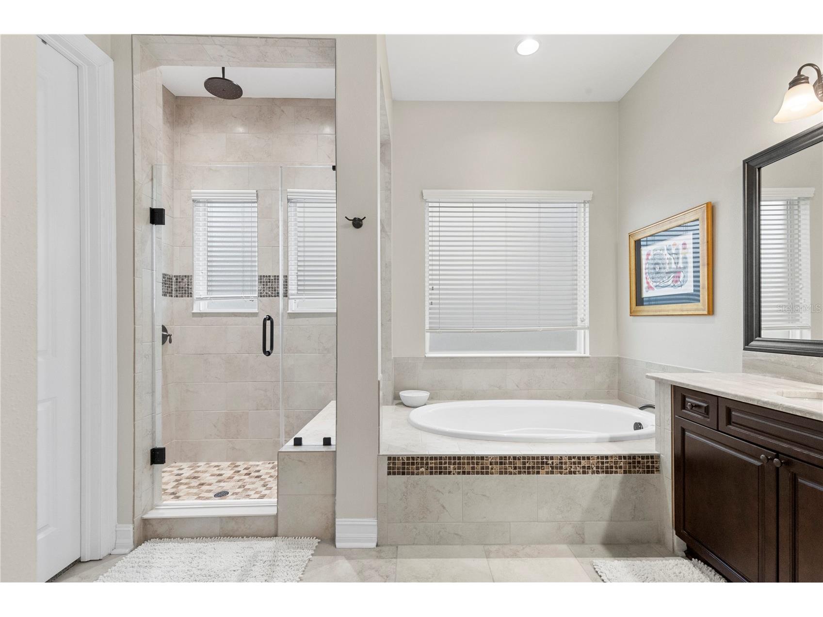 28715 Corbara Place Wesley Chapel FL 33543 TB8518475 image43