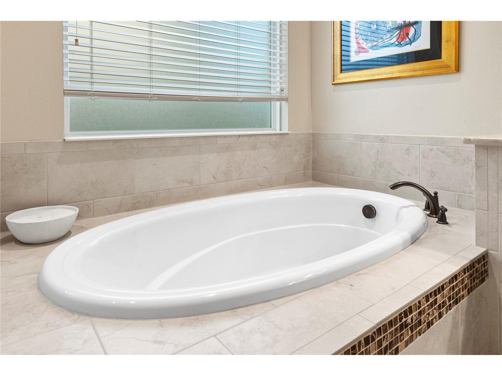 28715 Corbara Place Wesley Chapel FL 33543 TB8518475 image45