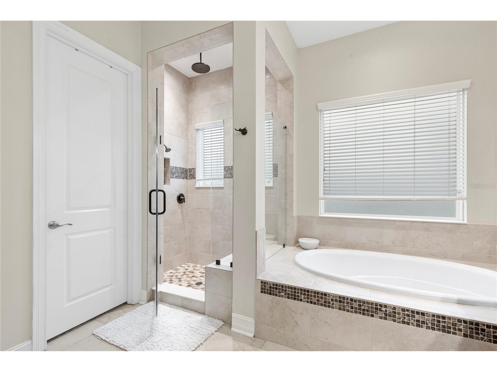 28715 Corbara Place Wesley Chapel FL 33543 TB8518475 image46