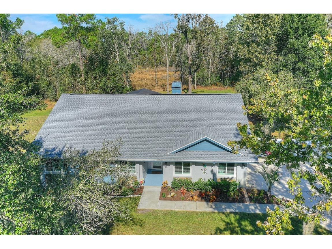 28719 Credence Drive Wesley Chapel FL 33544 U8222899 image1