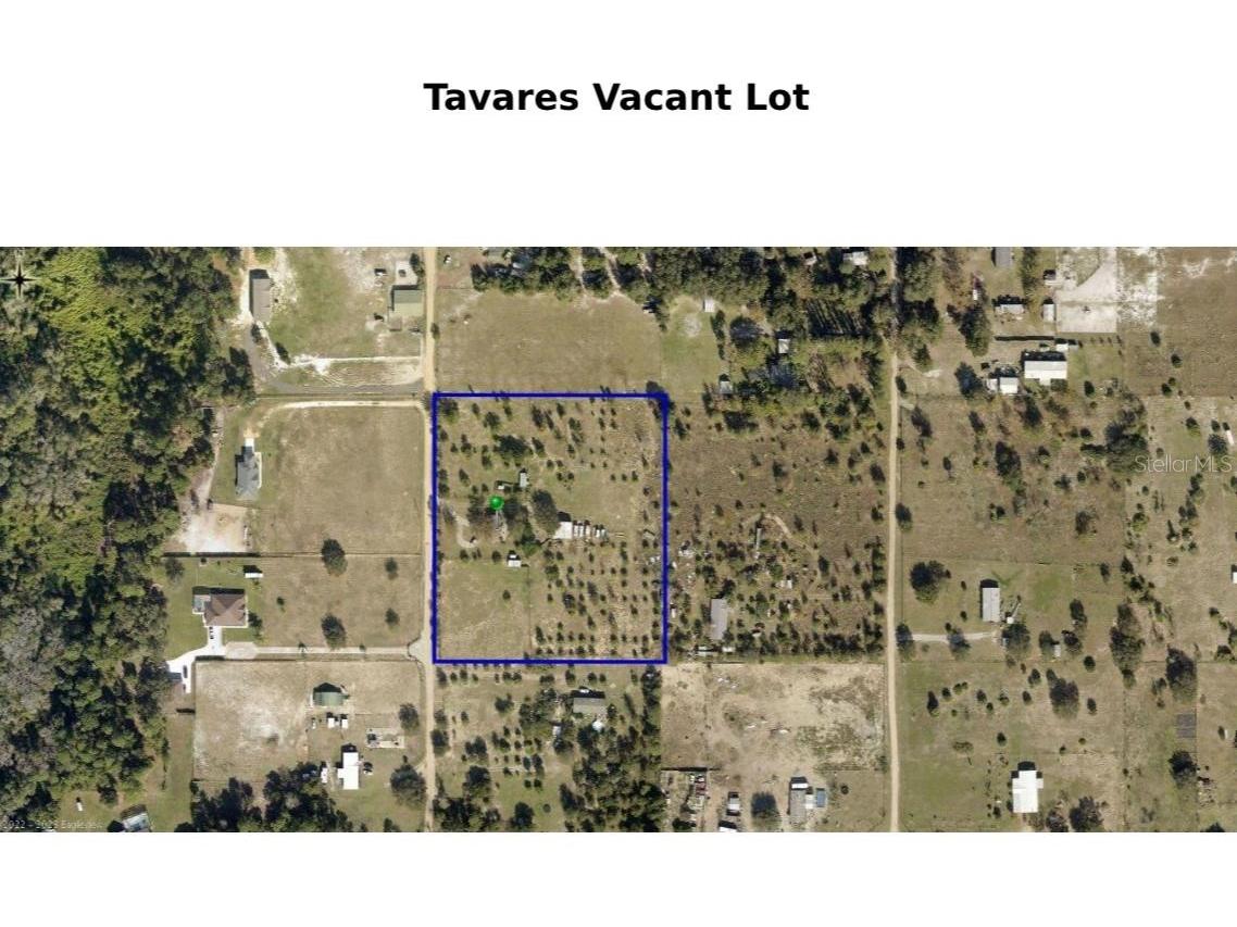 28720 Columbia Road Tavares FL 32778 O6316202 image2